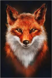 Profil de Kylan, 28 ans, Trav à Provost