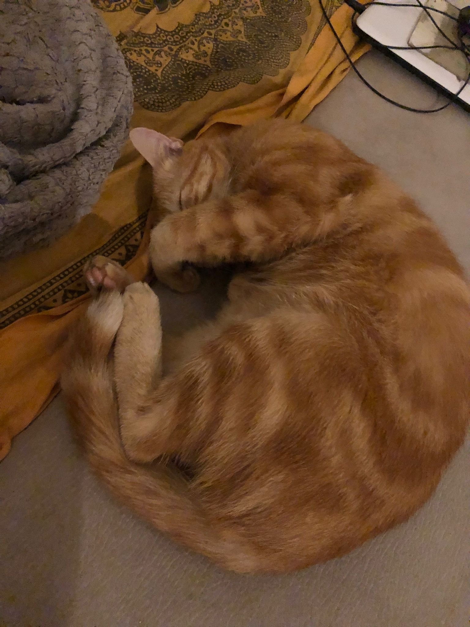 Profil de Caleb, 20 ans, Trav à Claresholm