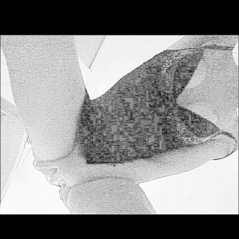 Profil de Ilanna, 40 ans, Trav à Routhierville