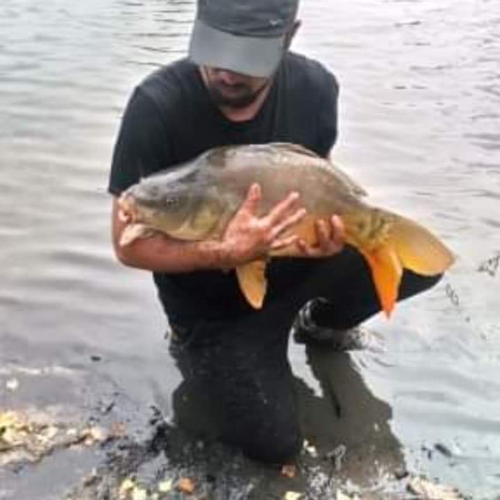 Profil de Zaccaria, 38 ans, Trav à Alida