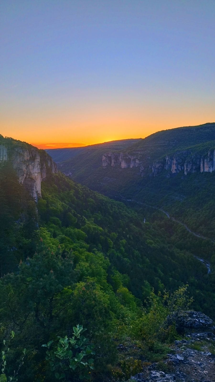 Profil de Roshan, 20 ans, Trav à Callander
