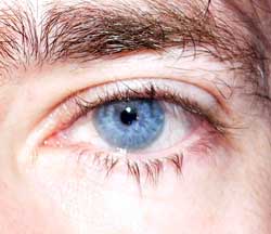 Profil de Wali, 55 ans, Trav à Ryerson