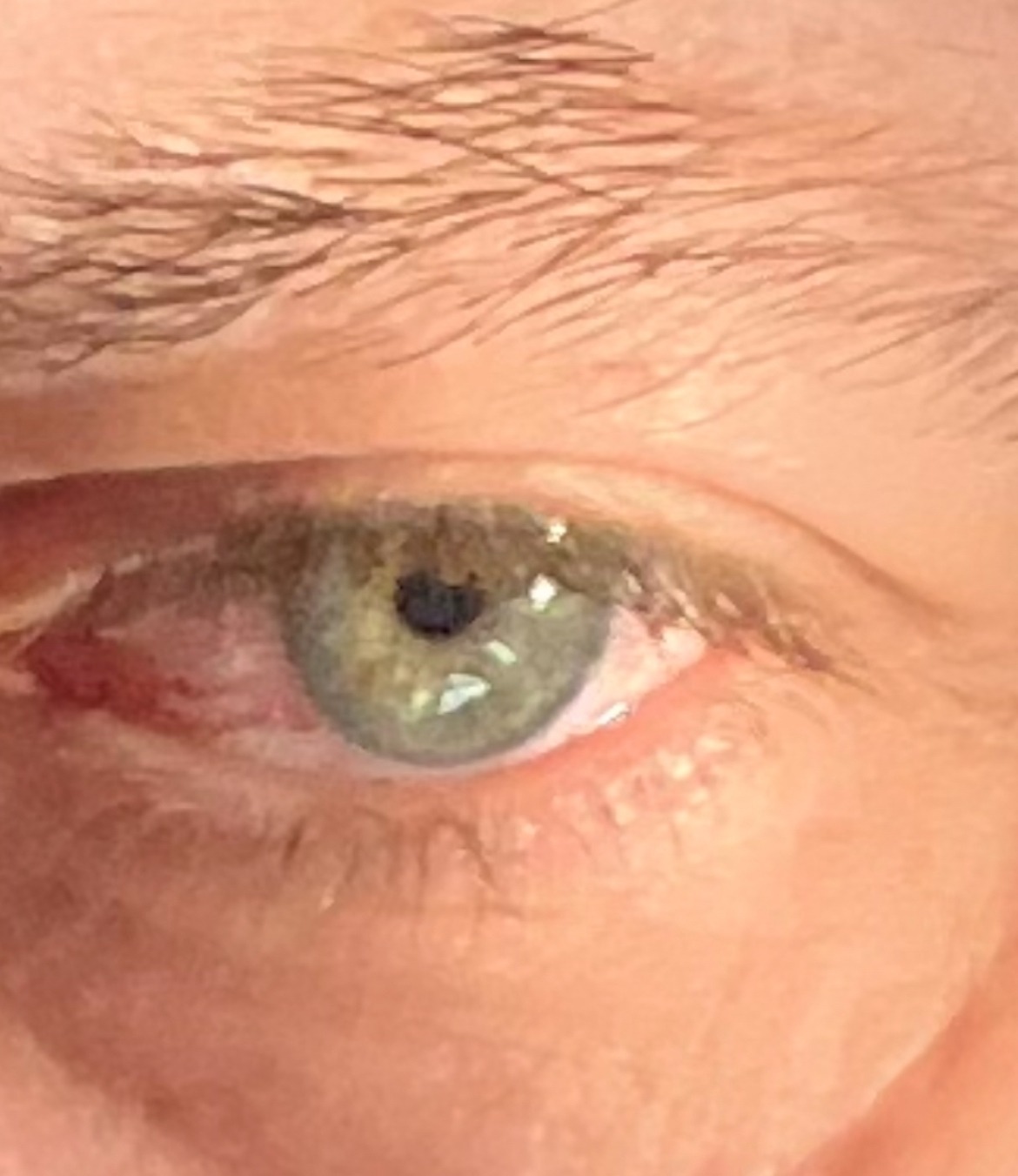 Profil de Avram, 49 ans, Trav à Faraday