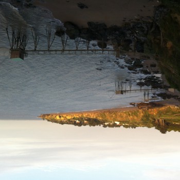 Profil de Cheyene, 37 ans, Trav à Saint-Honoré