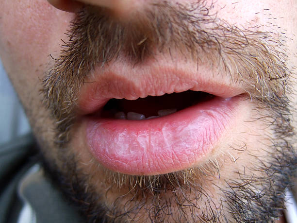 Profil de Hannibal, 28 ans, Trav à Bruno