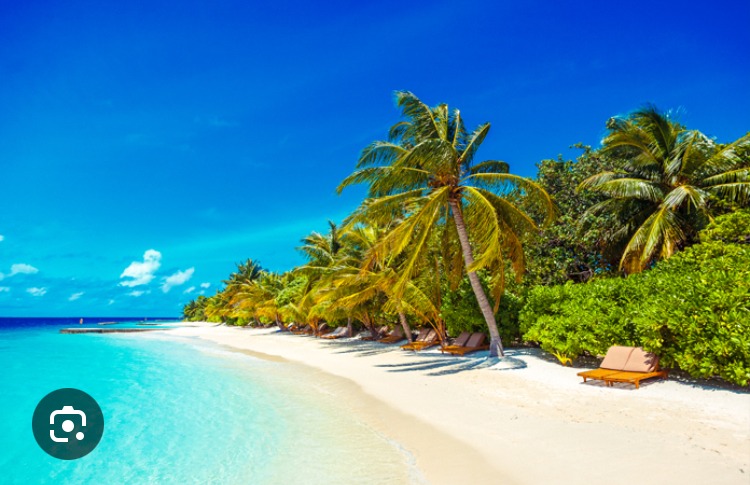 Profil de Vendelin, 45 ans, Trav à Bruno