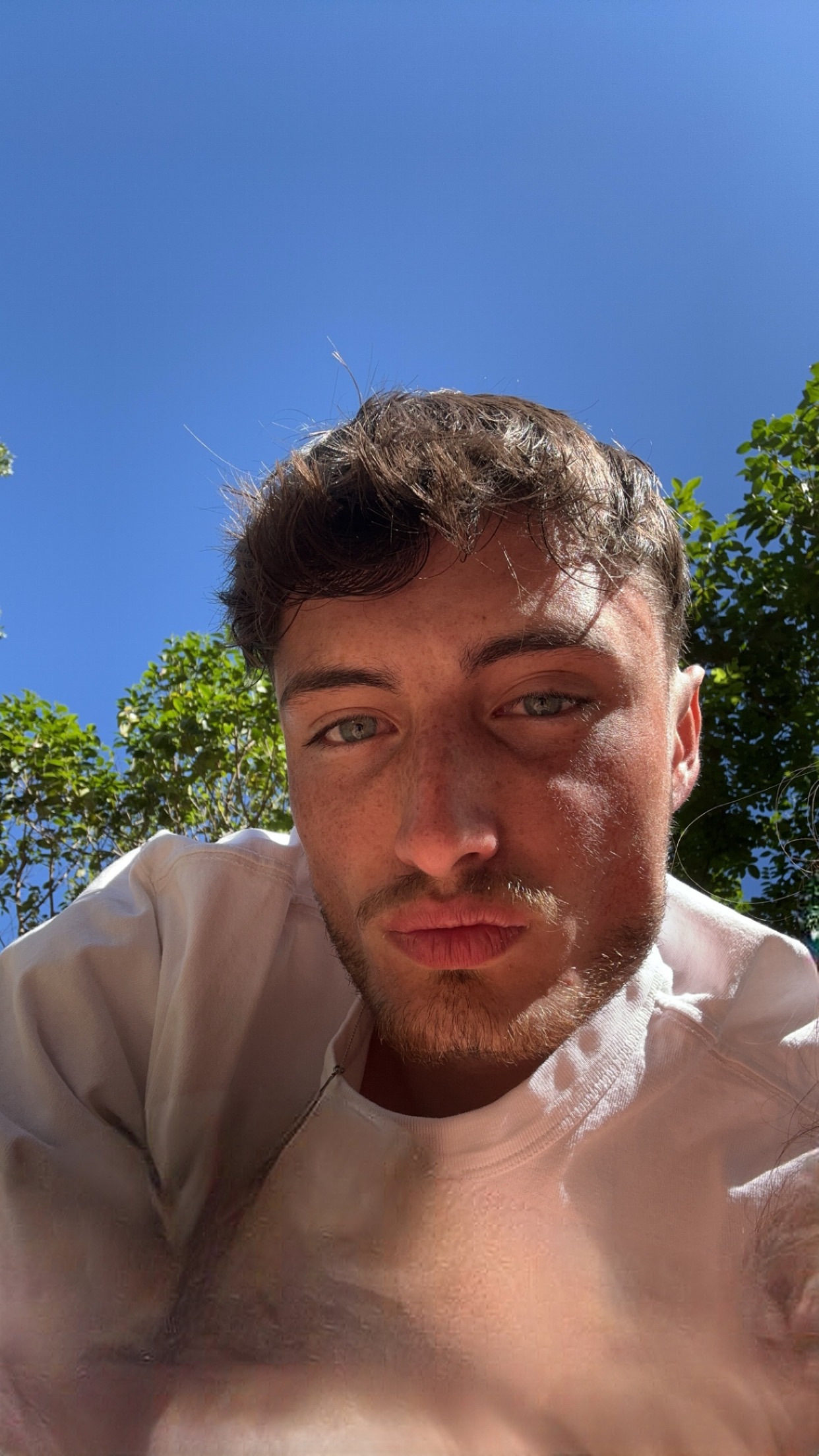 Profil de Fulbert, 24 ans, Trav à Fairlight