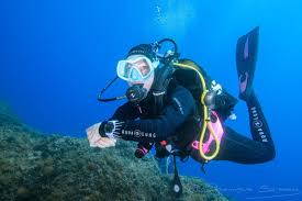 Profil de Alvyn, 55 ans, Trav à Repentigny